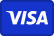 Visa Logo